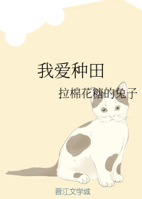 我爱种田 完结+番外