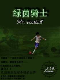 绿茵骑士