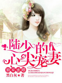 莫暖陆琛