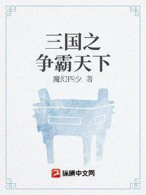 三国之争霸天下