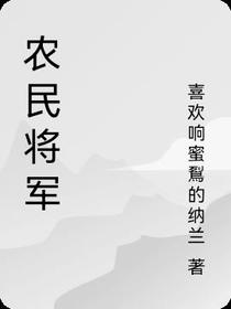 农民将军
