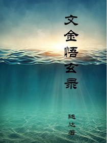 文金悟玄录