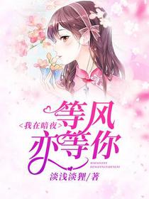 我在暗夜,等风亦等你