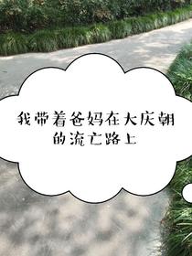 我带着爸妈在大庆朝的流亡路上