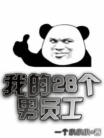 我的28个男员工