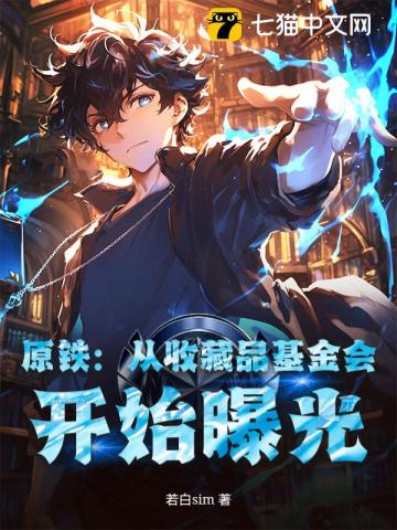 原铁：从收藏品基金会，开始曝光